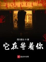 从来不易封面
