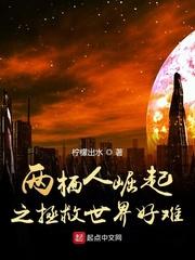 异度战甲封面