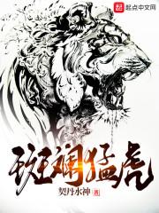我们并不孤单封面