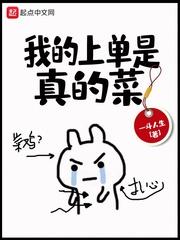 上古卷轴5求生记封面