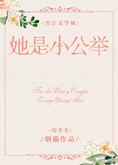 NPC的强力生涯封面