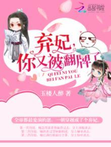 崇祯十五年封面