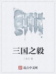 抗战双子星封面
