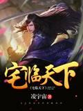 灰色国度封面
