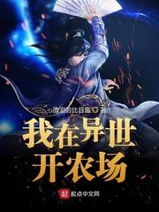 黑暗降临之时封面