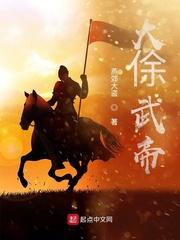 独孤去愚传封面