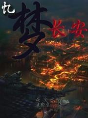 重回大宋安天下封面