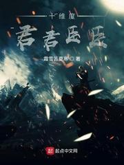 苟在西汉封面