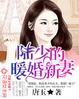 踏寻仙门封面