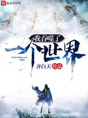 雪国降临封面
