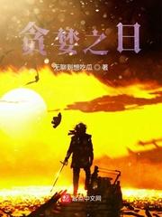 守护者之灵魂觉醒封面