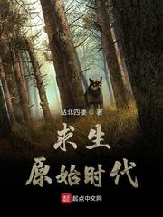大宋实录传封面