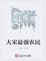 大院红楼封面