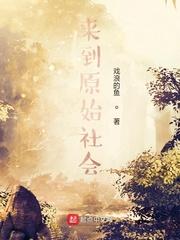 他改变了南明封面