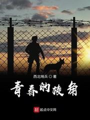 四合院：开局截胡秦淮茹，震惊全院封面