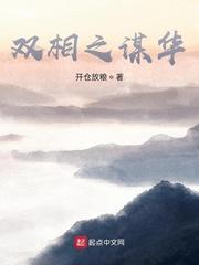 铁穆思传封面