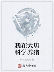 大唐开局震惊了李世民封面
