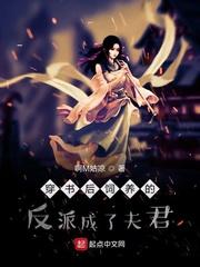 南明北归封面