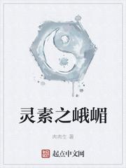 九道成仙封面