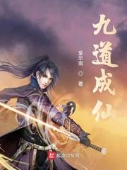 入魔不曾悔封面