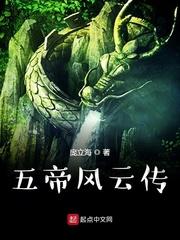 鳄龟的征途封面