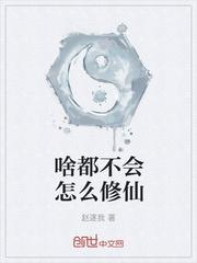 钢铁的悲歌封面