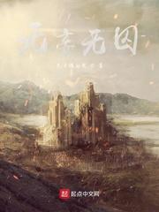 天启遗录封面