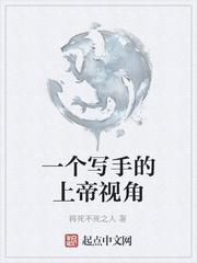 巅峰飞升封面