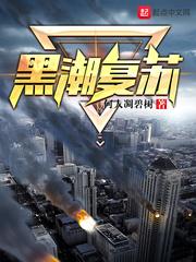 全球淘汰系统封面