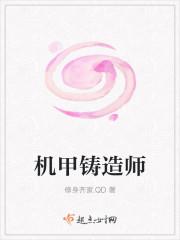 临天之阶封面