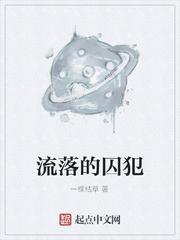 混乱神戏封面