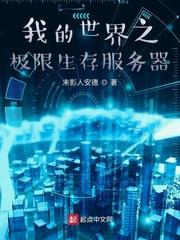 混乱神戏封面