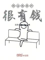 妻妾一家欢封面