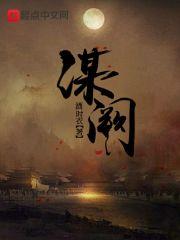 大唐血衣候封面