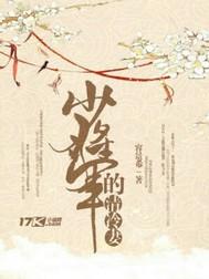 昏后再婚封面