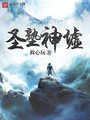 寸芒耀天封面