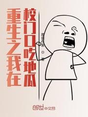 大明：花重锦官城封面