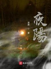 穿云神探封面