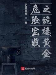 丹道宗师封面