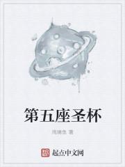 灾厄重塑封面