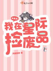 星痕燎原封面