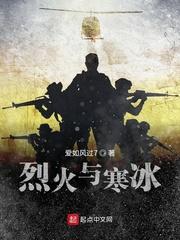大宋的变迁封面
