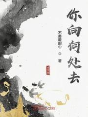 红楼宁亲王封面