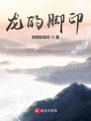 汉末，无双乱舞封面