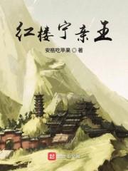 冷将军的绕指柔封面
