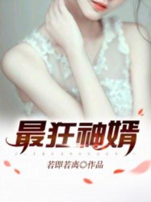 龙珠:慎勇型师叔封面