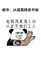 僵尸世界:我是战斗鸡封面