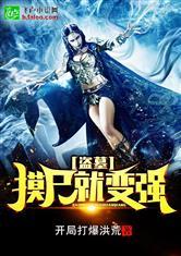 龙珠之我是悟空封面