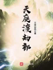 尊皇传奇封面