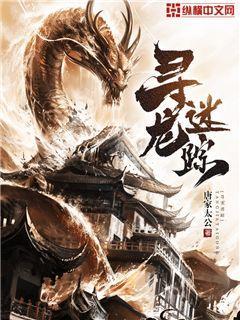 天路尽头我为仙封面